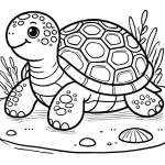 Tortue