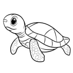 coloriage Tortue gratuit a imprimer
