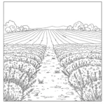 coloriage Un champ de lavande en Provence pour enfant de 8 ans