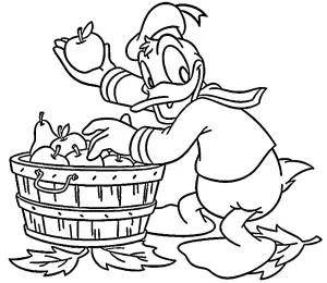 image de coloriage Donald Duck pour enfant