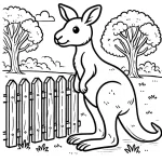 Kangourou