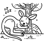 coloriage Kangourou pour enfant
