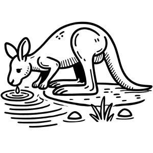 coloriage Kangourou à imprimer gratuit
