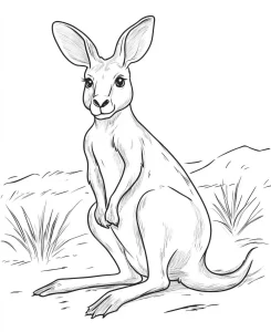 coloriage Kangourou d