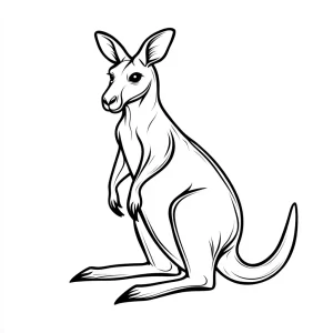 coloriage Kangourou à imprimer pour enfant de 6 ans