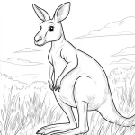 coloriage Kangourou et dessins