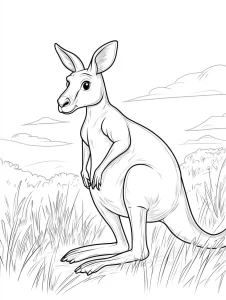 coloriage Kangourou et dessins