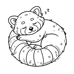 coloriage Panda Roux pour enfant gratuit