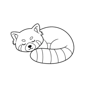 coloriage Panda roux endormi en ligne