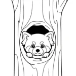 coloriage Panda Roux updated et apprentissage