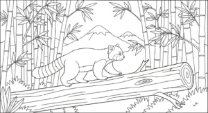 coloriage Panda Roux updated à imprimer pour enfant de 7 ans