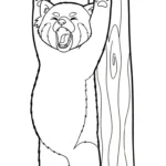 coloriage Panda Roux updated à imprimer pour enfant de 2 ans