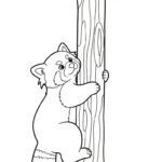 coloriage Panda Roux updated pour enfant de 10 ans