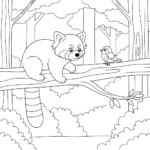 coloriage Panda Roux updated educatif pour enfant