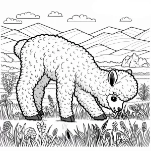coloriage Alpaga educatif pour enfant