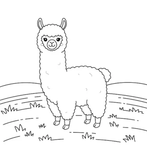 coloriage Alpaga dans un champ pour primaire