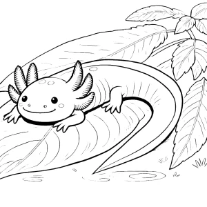coloriage Axolotl gratuit à imprimer