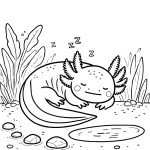 image de coloriage Axolotl pour enfant