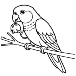 coloriage Perroquet updated à imprimer pdf gratuit