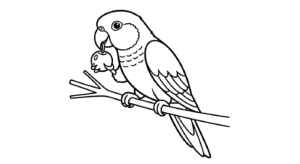 coloriage Perroquet updated à imprimer pdf gratuit