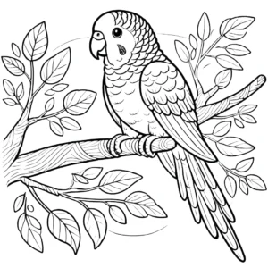coloriage perroquet pour enfants à imprimer