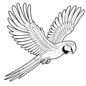 coloriage perroquet à imprimer pour enfant de 2 ans