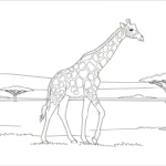 coloriage girafe updated à imprimer pour enfant de 9 ans