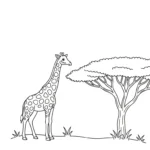 coloriage girafe updated à imprimer pdf gratuit