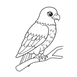 coloriage Aigle perché sur une branche educatif pour enfant