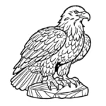 coloriage Pygargues à Tête Blanche à imprimer pdf gratuit
