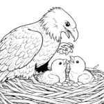 coloriage Pygargues à Tête Blanche et découpage à imprimer