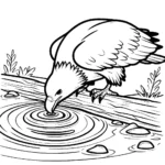 coloriage Pygargues à Tête Blanche pour enfant de 10 ans