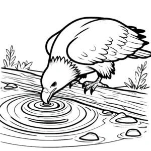 coloriage Pygargues à Tête Blanche pour enfant de 10 ans