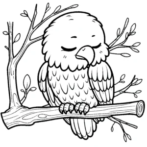 coloriage Pygargues à Tête Blanche pour enfant de 8 ans
