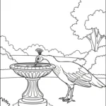 télécharger coloriage Paon updated gratuit