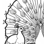 coloriage Paon updated a imprimer