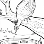 coloriage Paon updated à imprimer pour enfant de 3 ans
