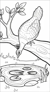 coloriage Paon updated à imprimer pour enfant de 3 ans