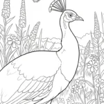 coloriage Paon updated pour enfants à télécharger