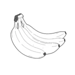 coloriage Banane pour enfant a imprimer gratuit
