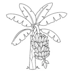 coloriage Banane à imprimer pdf