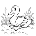 coloriage Canard educatif pour enfant