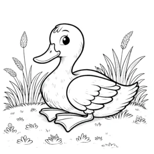 coloriage Canard educatif pour enfant