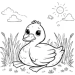 coloriage Canard a imprimer gratuit