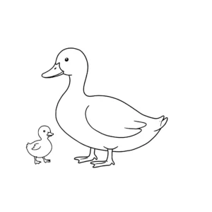 coloriage Canard gratuit a imprimer