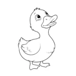 coloriage Canard à imprimer pour enfant de 10 ans