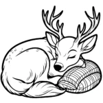 coloriage Cerf à imprimer pour enfants