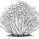 coloriage Champignon et decoupage a imprimer gratuit