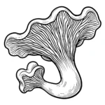 coloriage Champignon à imprimer pour enfant de 12 ans