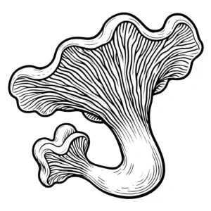 coloriage Champignon à imprimer pour enfant de 12 ans